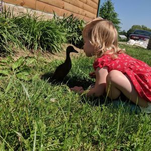 Meet your Posher, Ashley